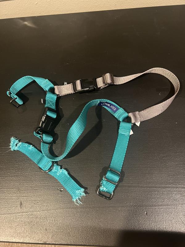 Chewy easy outlet walk harness