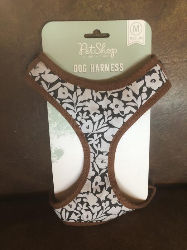 My little dog Seraphina sporting her harness 🫶🏽