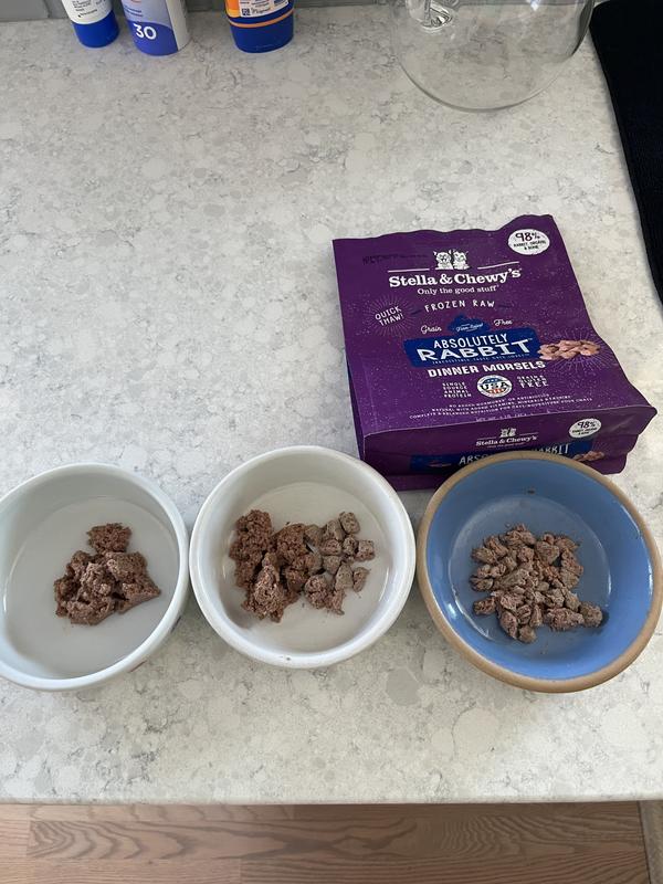 Three cats, three different dishes. No problem.