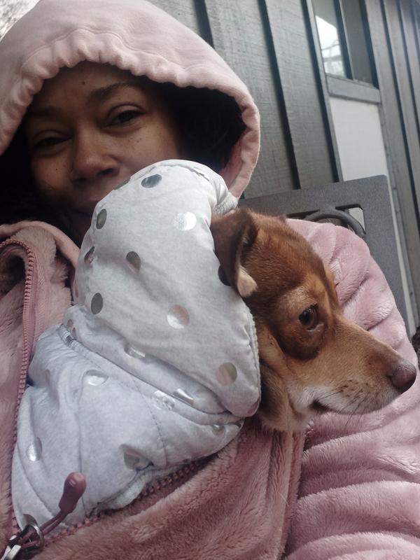 my pup's 1st winter