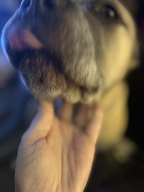 Lick her lips delish!