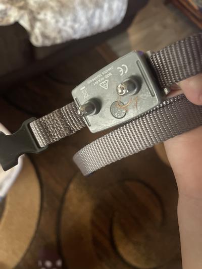 FREE SPIRIT Waterproof Dog Bark Collar reviews Chewy