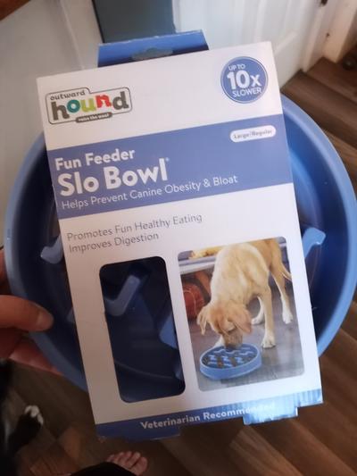 Outward Hound Fun Feeder Slow Feed Dog Bowl Teal - PetO