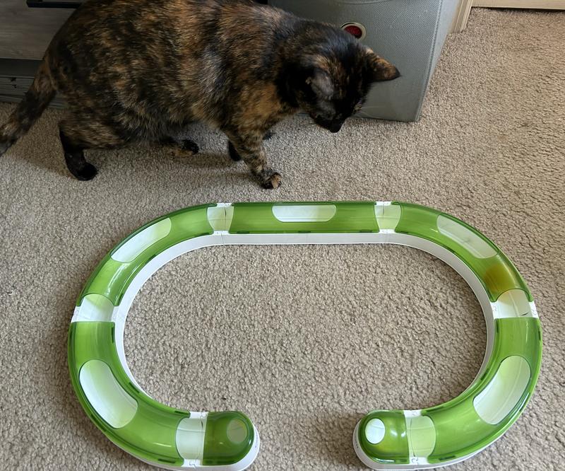 Making sure it doesn't get away!