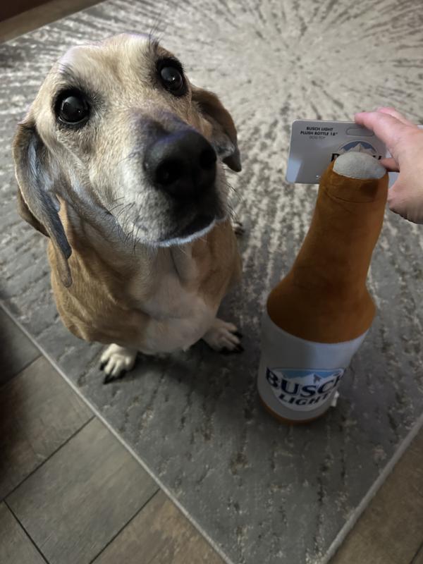 This is a very large toy!