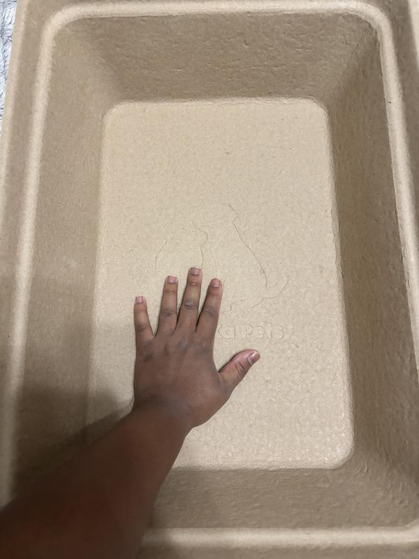 hand for scale