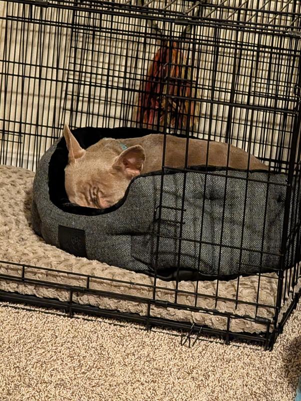 What a nice place for a nap!