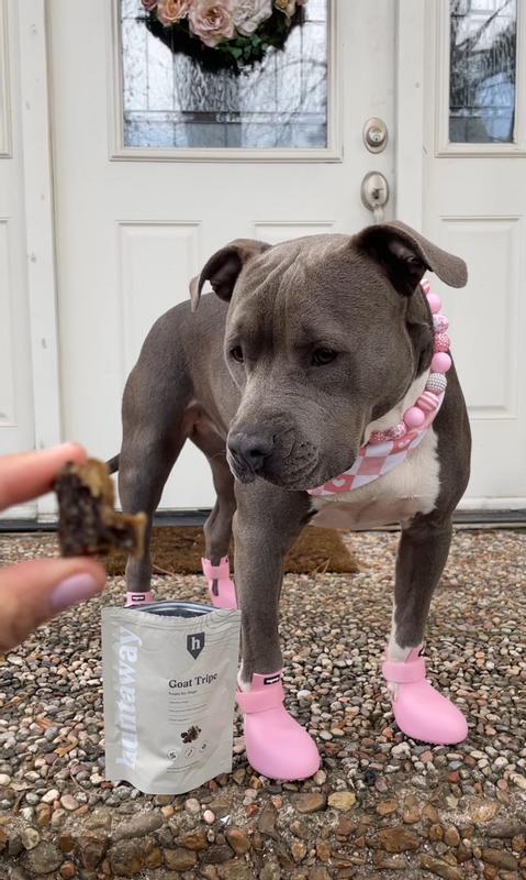 Crunchy, smelly, tasty treat your dog will love!