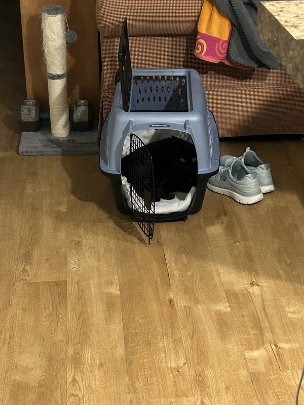 Petmate Two Door Top Load Dog & Cat Kennel (Free Shipping) | Chewy
