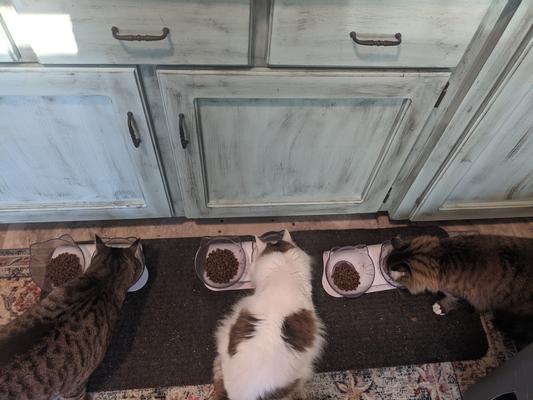 All together...this is new!