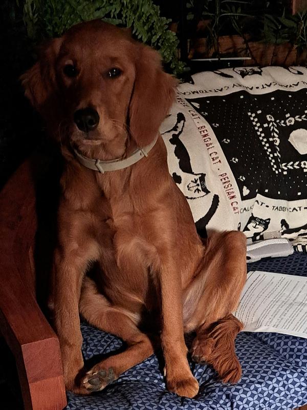 Don't let innocent pose fool you.