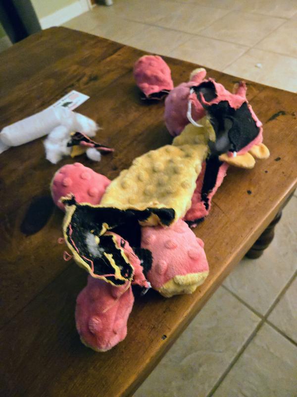 Day 5, the dragon has been slayed