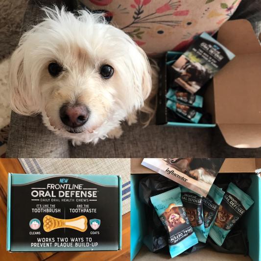 FRONTLINE Oral Defense Daily Oral Health Dental Dog Treats for X