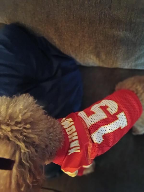 Photo isn't great. He was excited and I couldn't get him to hold still.