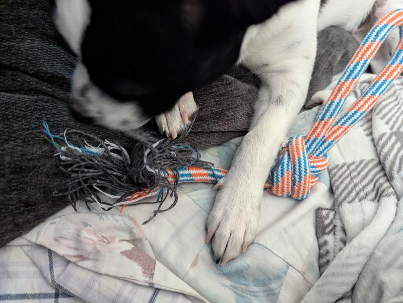 Within a couple hours