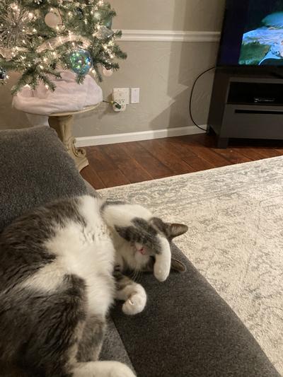 Nap time sleep tight