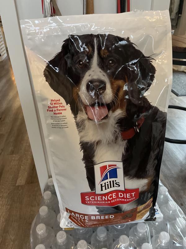 Science diet large outlet breed chicken and barley