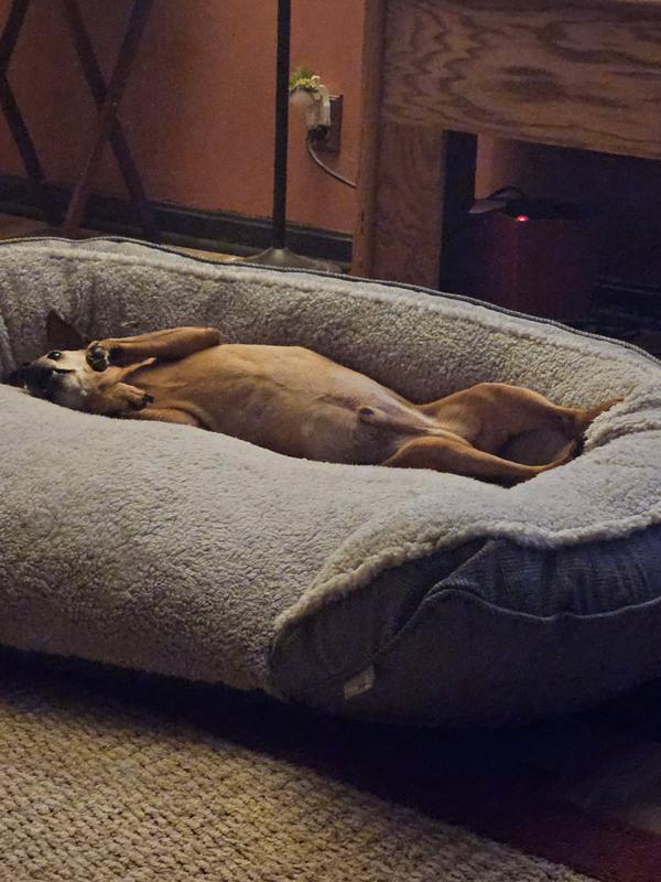 Chauncey rubbing his stink all over it lol