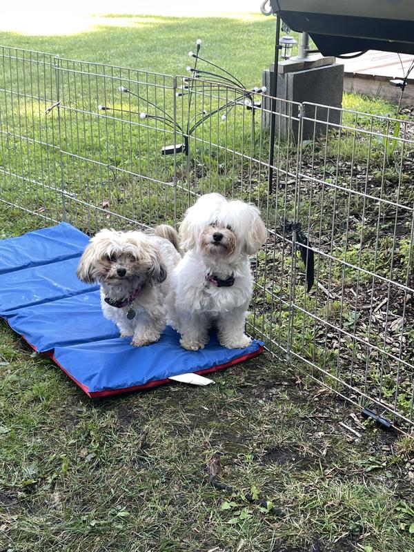 Little dogs love them! Great treats for camping!