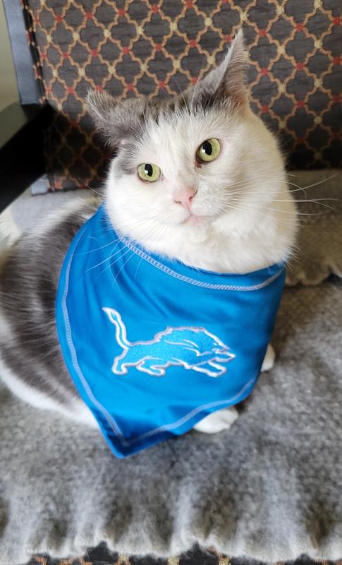 Tula is a big girl and the bandana fit her nicely