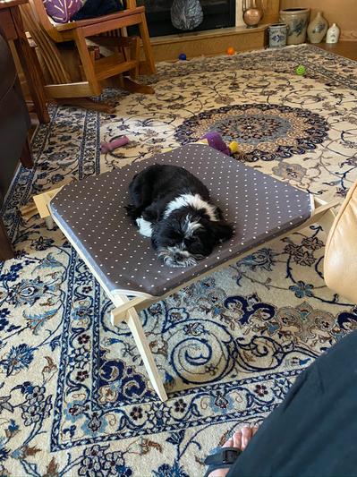 Sleeping like a baby! She loves it!