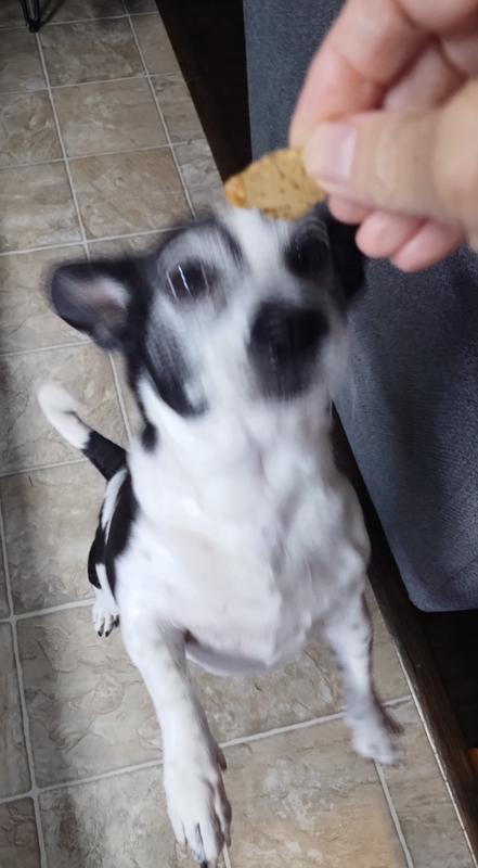 LET ME HAVE THAT DELICIOUS MORSEL!