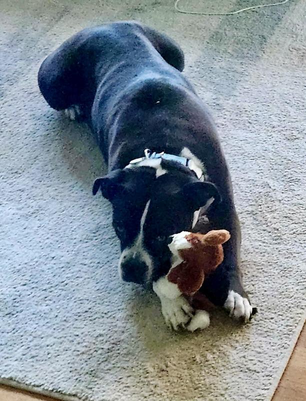 Loving my baby as much as I love my new collar!