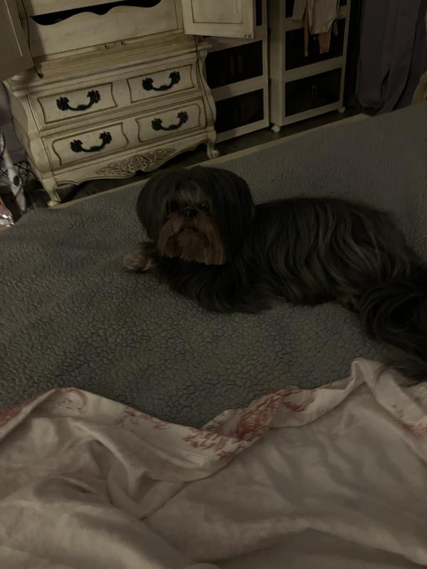 Shelby. Beautiful baby.