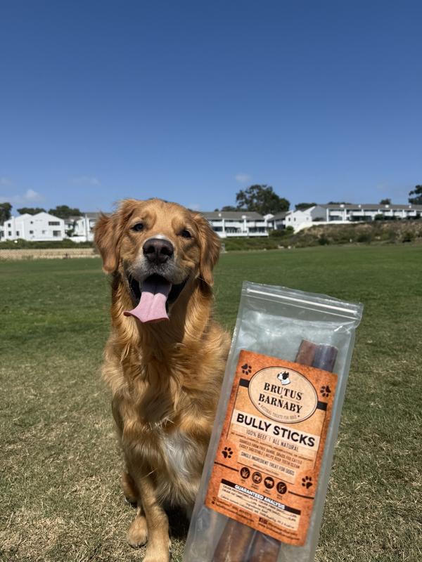 Grizzly with his new favorite treats :)