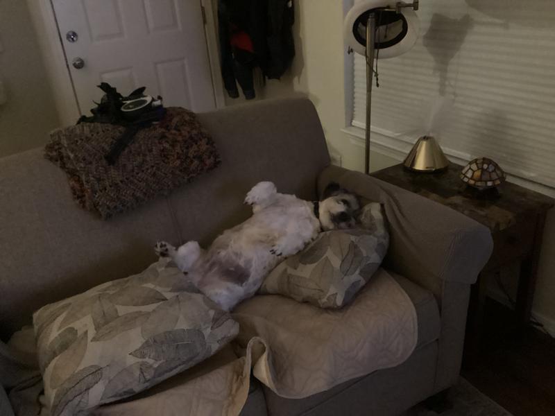 Full from dinner, now to relax