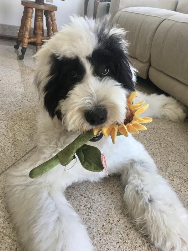 Sending sunny praise