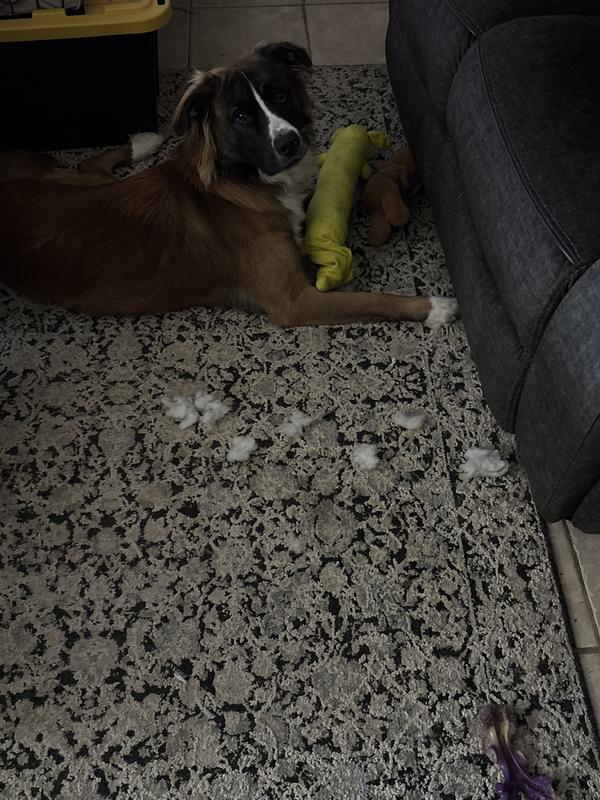 Gutted in less than an hour