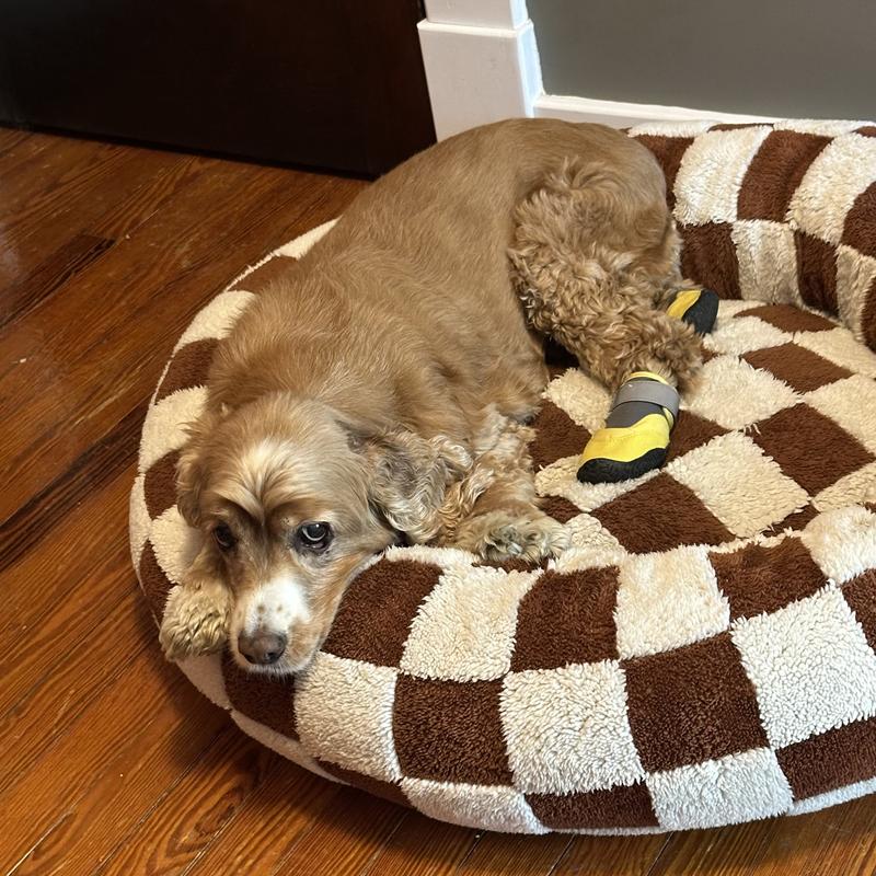 well made but not secure