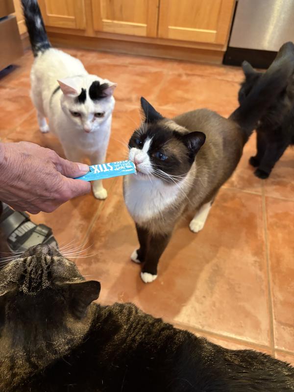As you can see in the photos, some of my cats were willing to sniff the product and 2 were willing to eat it.