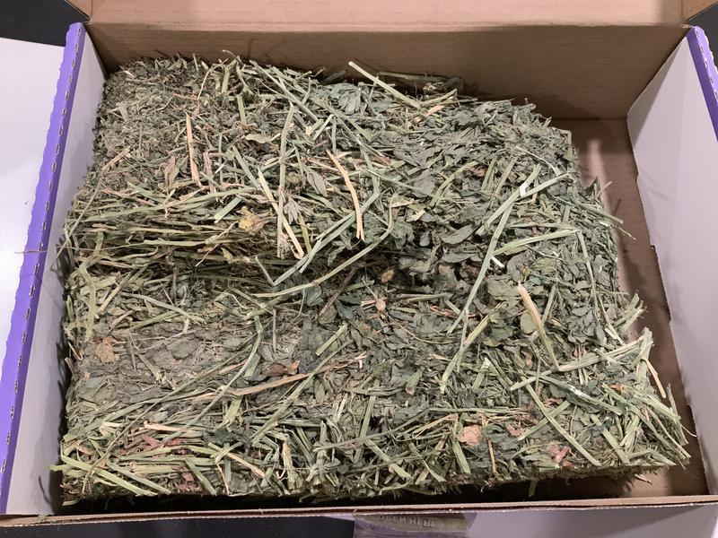 SMALL PET SELECT Alfalfa Hay Small Pet Food, 10-lb box - Chewy.com