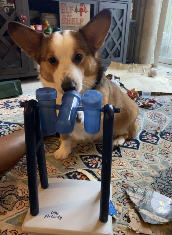 Trixie Activity Turn Around Dog Toy, White/Blue