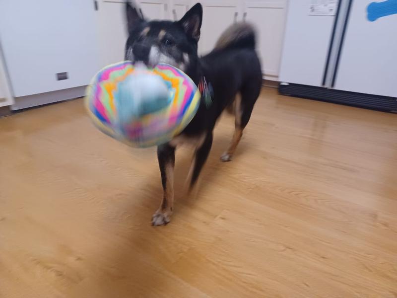 He is finally bringing it back after playing solo.