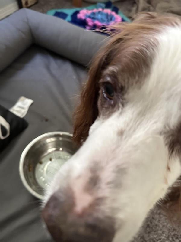 Chunky , smells great , clean plate ! More please