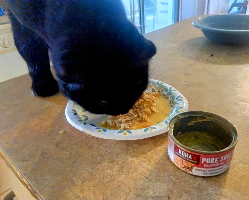 Lucky trying Koha Shreds