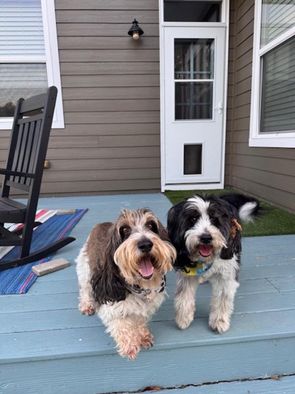 Beau & Bandit ready to get dirty again!