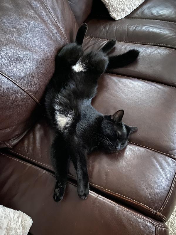 Riley after her hearts