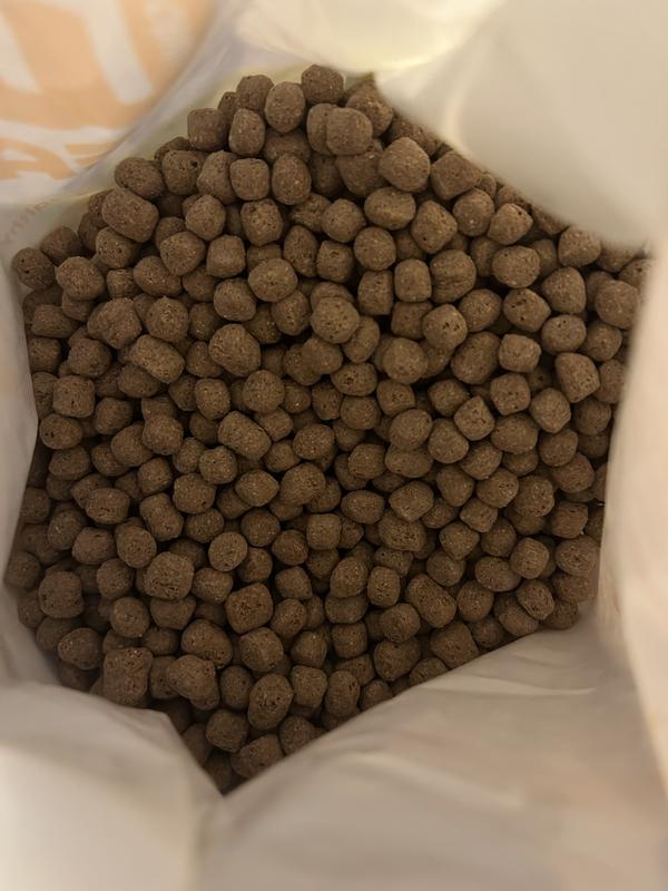 Texture and size of kibble