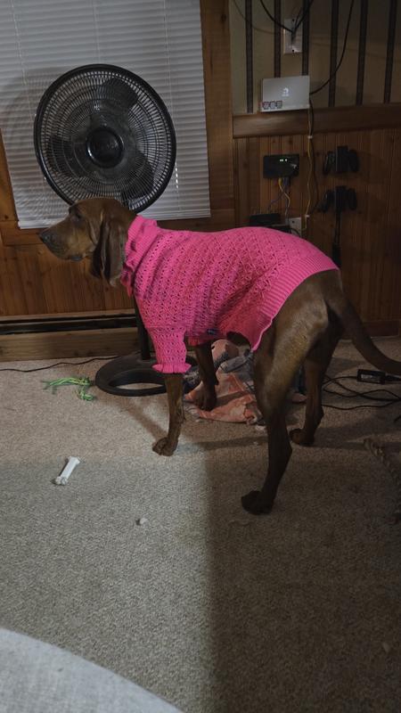 She tolerates me dressing her up!