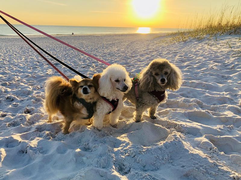 First time at the beach!