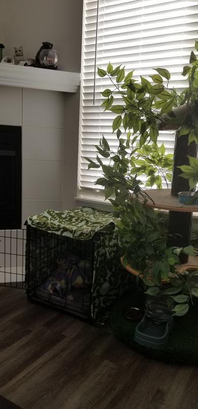 Looks great under the cat tree!