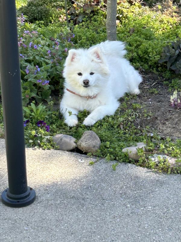 Enjoying a summer day feeling fine