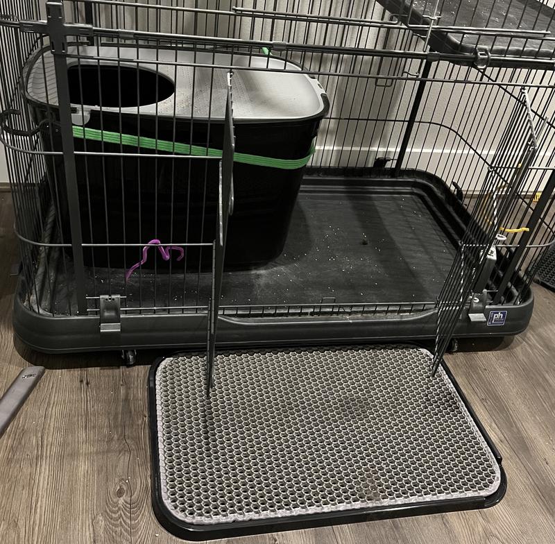You can see our litter box is tethered to a crate so our active boys don't knock it over!