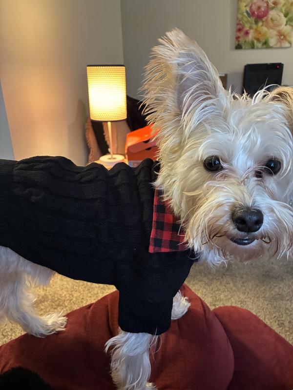 My Christmas present