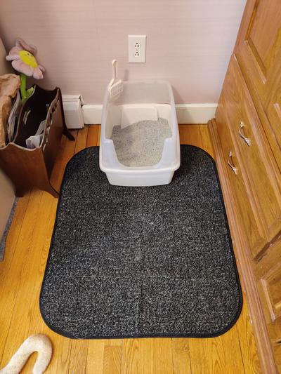 Mouse's Heavy Duty Litter Mat