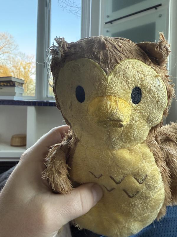 Missing ear after 5 minutes of action